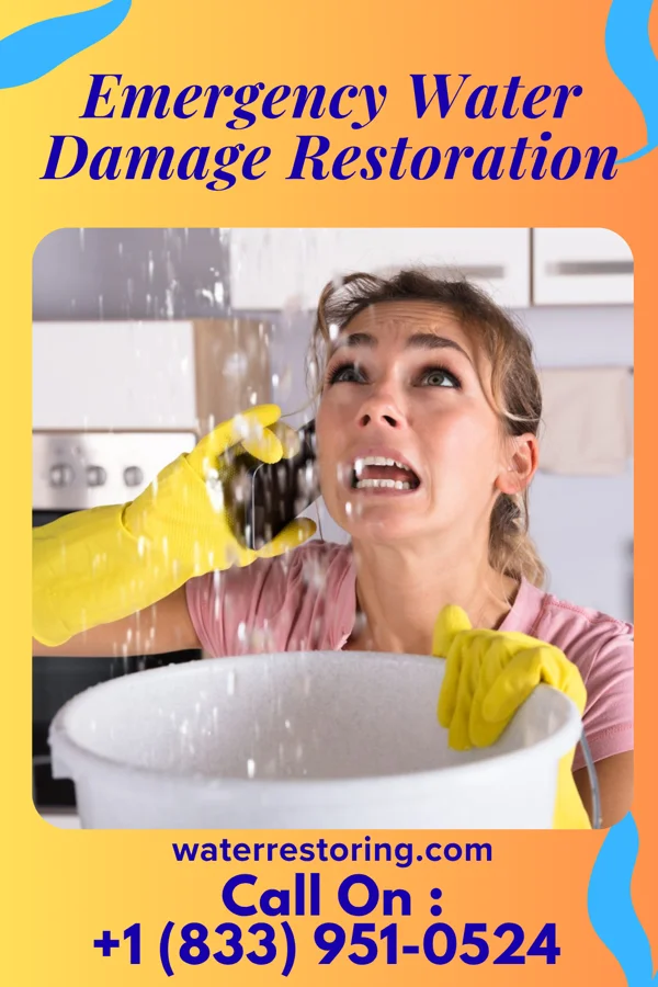 Emergency Water Damage Restoration in La Marque, TX