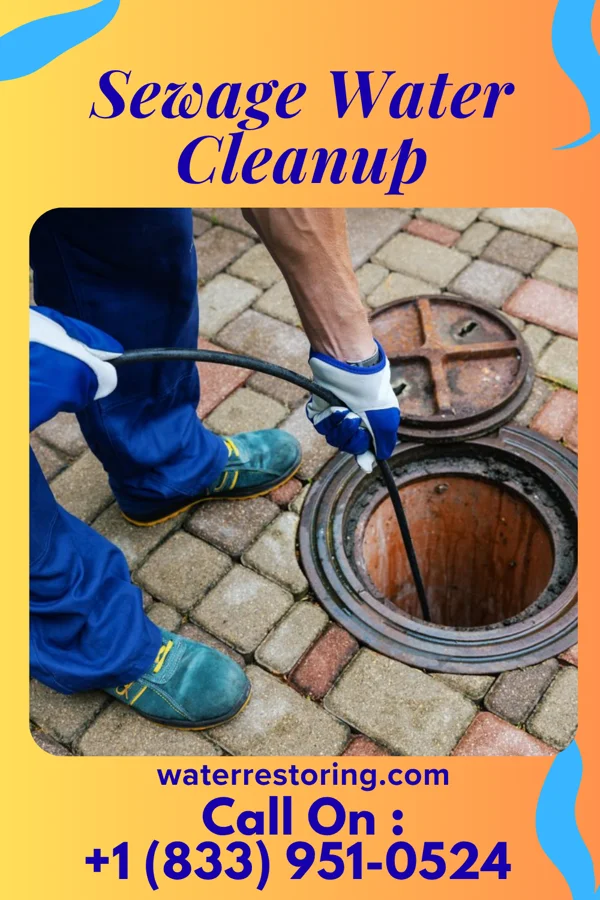 Sewage Water Cleanup in La Marque, TX